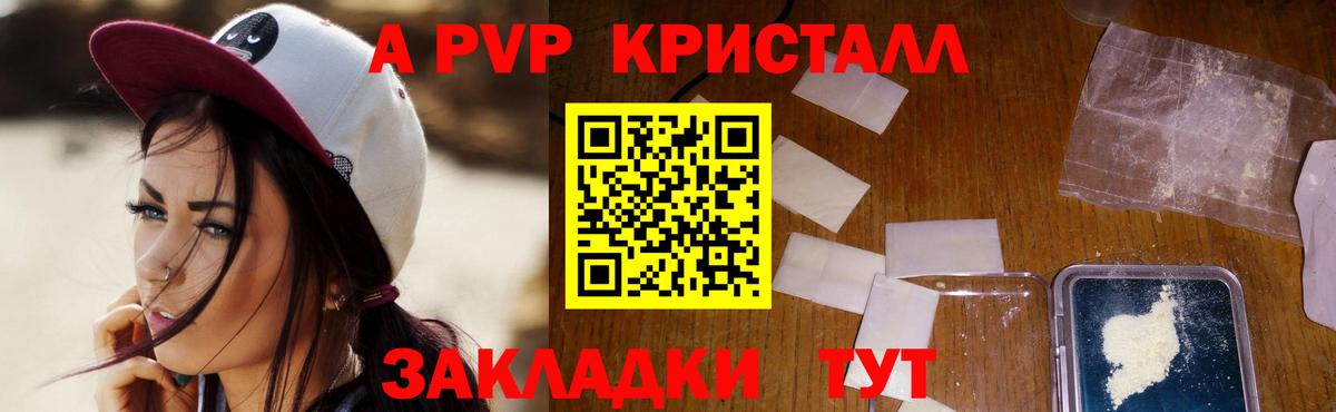 Альфа ПВП СК Королёв