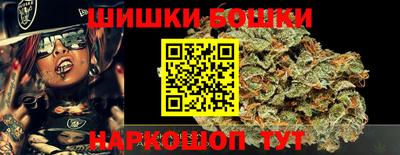 кокс Кингисепп