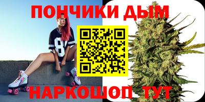 кокс Кингисепп